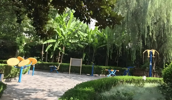 丑颜错爱：若水传奇之傲笑