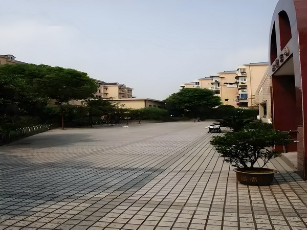 穿越之琴殇